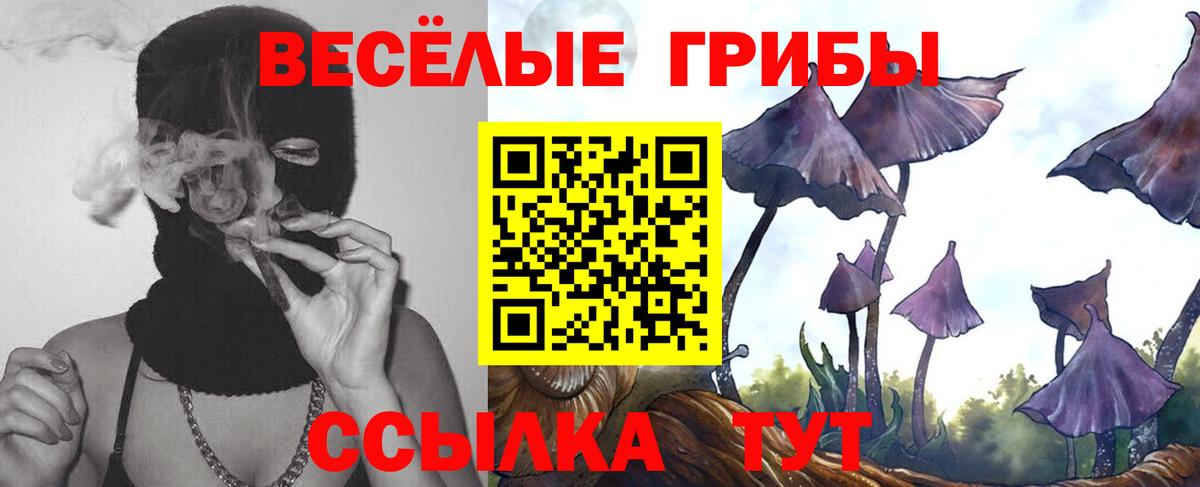 Псилоцибиновые грибы мицелий Видное